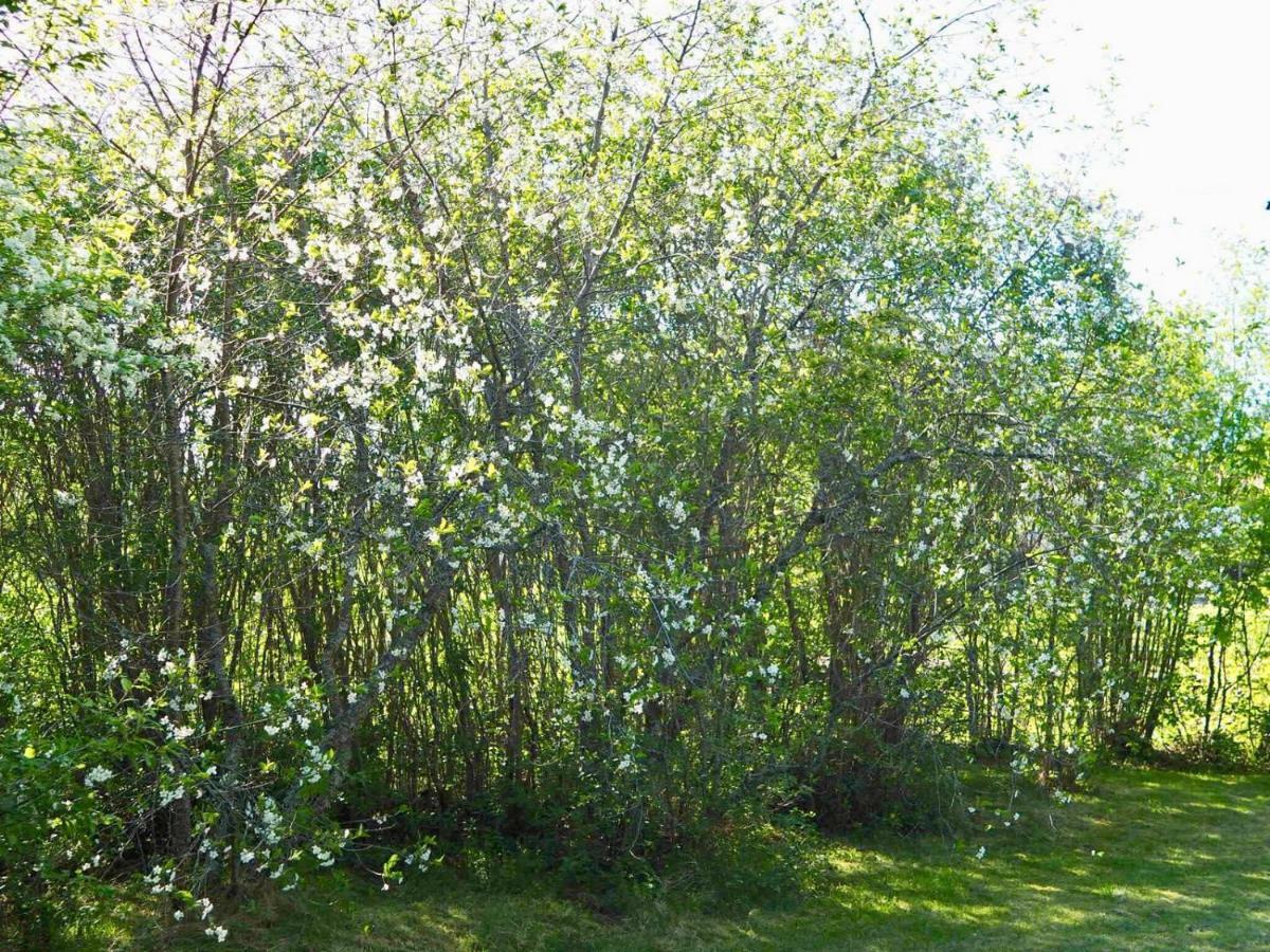 Orsastuguthyrning-Kyrkbyn Villa Luaran gambar